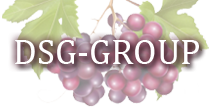 DSG GROUP. Оборудование для виноделия.
